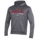 Under Armour AF PO Hoodie with Bird