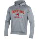 Under Armour Hoodie True Gray