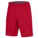 Under Armour Raid 2.0 Shorts